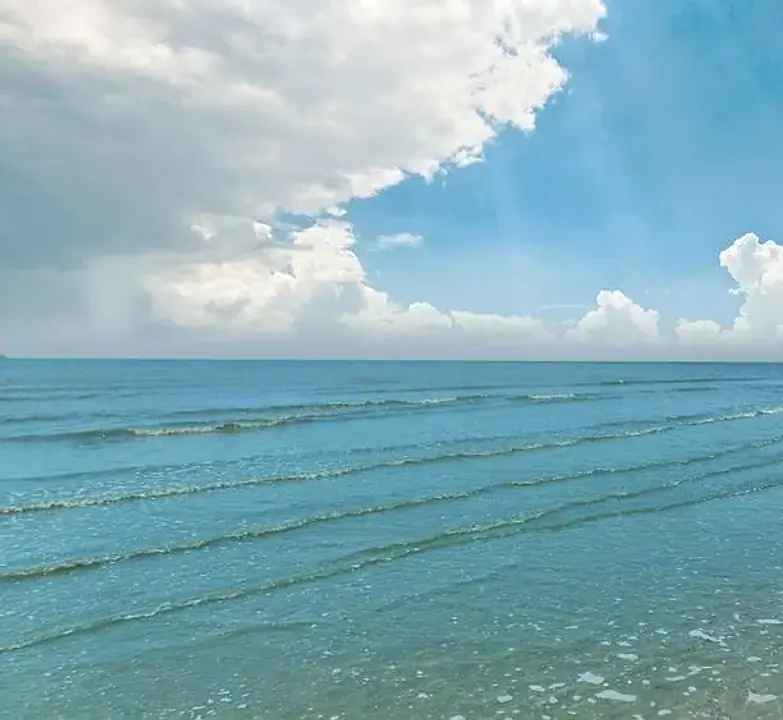 고창청보리축제 고창 네모의꿈 아고다 예약 전 체크 관련 이미지